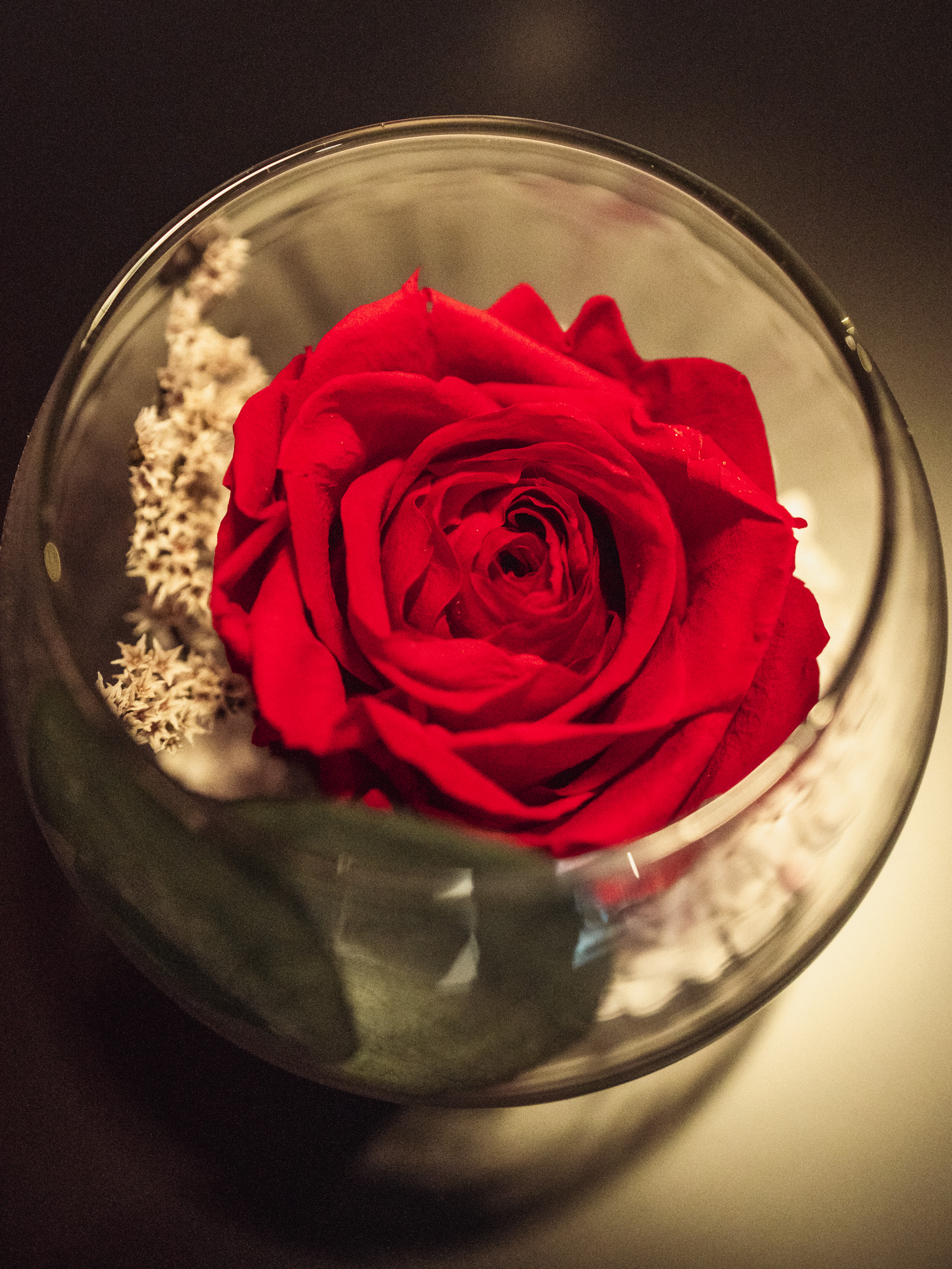 Mise en avant produit-13 – Copie